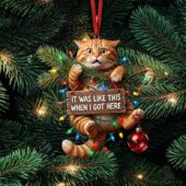 Orange Tabby Cat Christmas 2026 Ornament