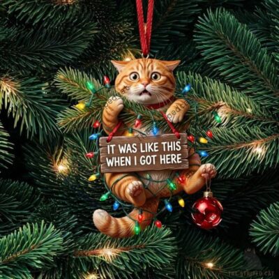 Orange Tabby Cat Christmas 2026 Ornament